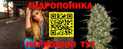 спиды Партизанск