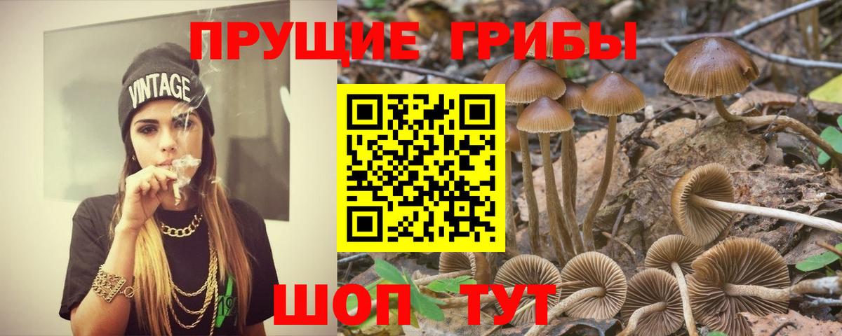 Подольск  Галлюциногенные грибы MAGIC MUSHROOMS  Вход с VPN 